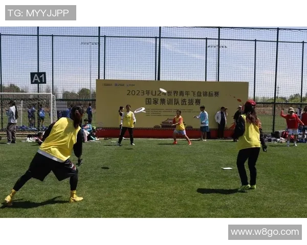 飞盘竞技的魅力与挑战：深入探讨北京飞盘队的战术与控制力